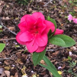 Meet your Posher, Jenny